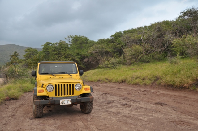 Jeep rental on lanai