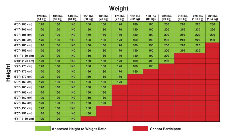 Horse Rider Weight Chart