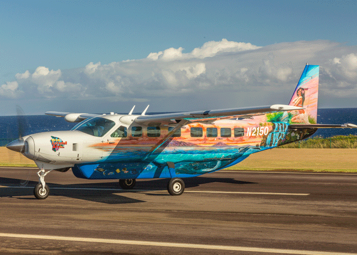 plane tour big island