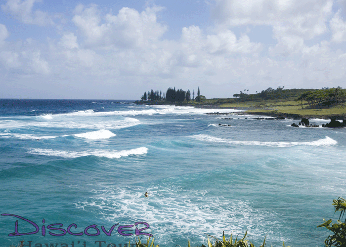 Hana Eco Adventure with Beach Stop Maui Eco Tours Maui Activities