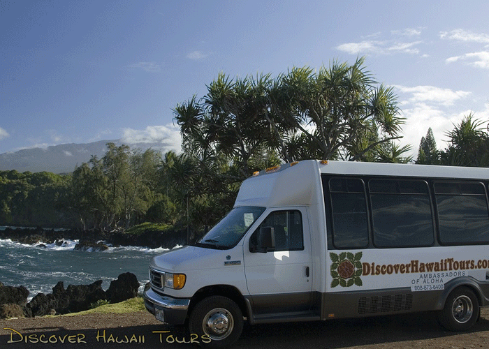 Hana Eco Adventure with Beach Stop Maui Eco Tours Maui Activities