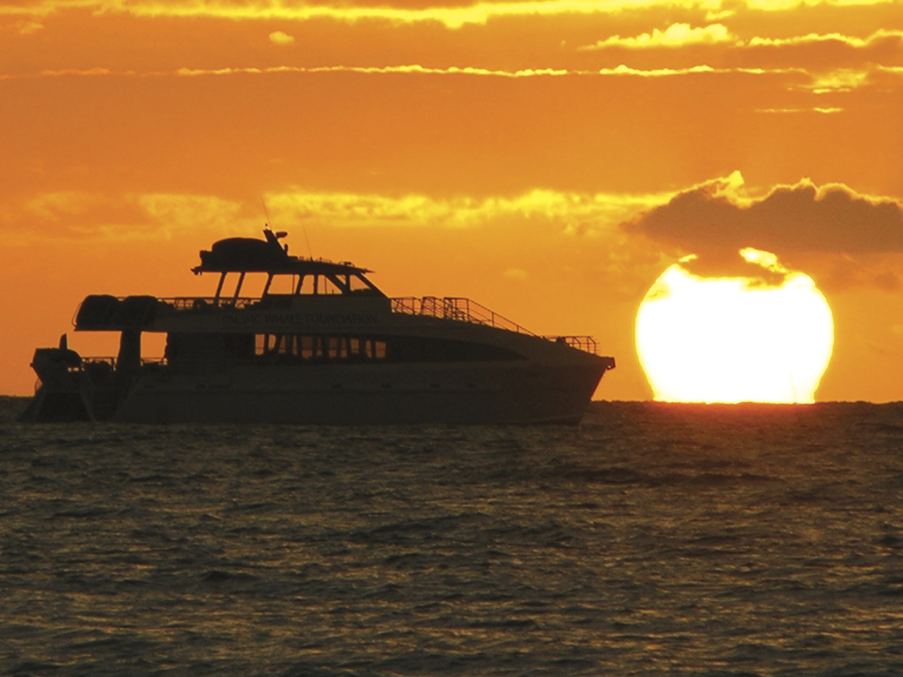 hawaii sunset cruise maui